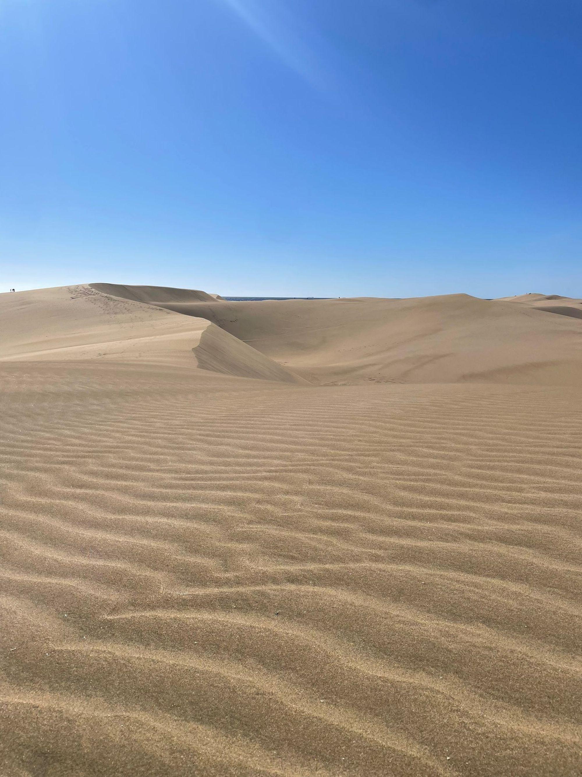 Maspalomas’ sand dunes in the South of Gran Canaria Island